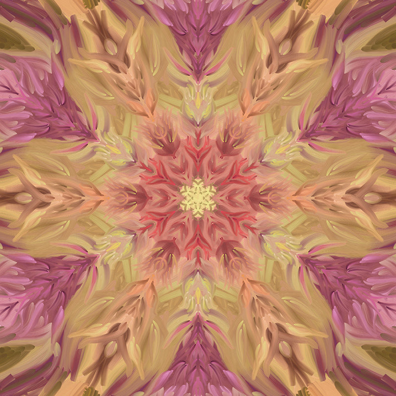 Orchid Star
