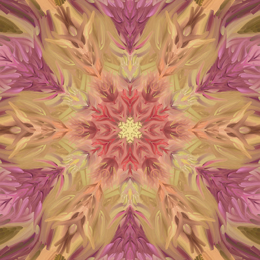Orchid Star